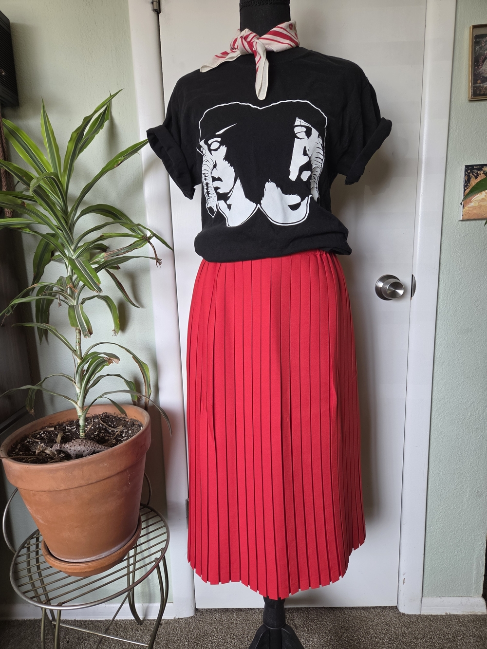 Pleated Red Skirt